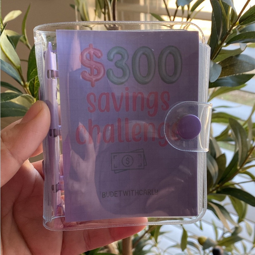 Mini Binder Challenge